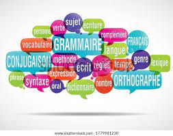 Course Image TE65SE - Didactique du français : étude de la langue
