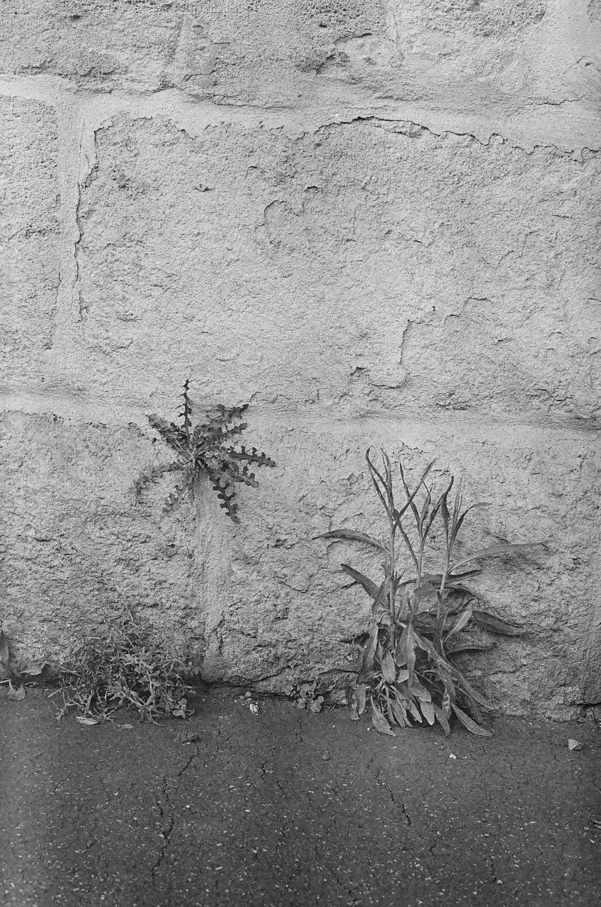 Course Image TW113SE - L'enquête de terrain : méthodes qualitatives 