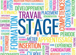 Course Image TW222GEP - Stage 3 mois : mémoire et soutenance 