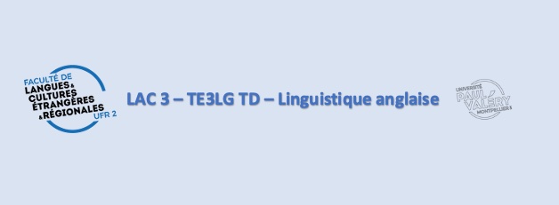 Course Image TE3LG - Langues, arts, cultures 3