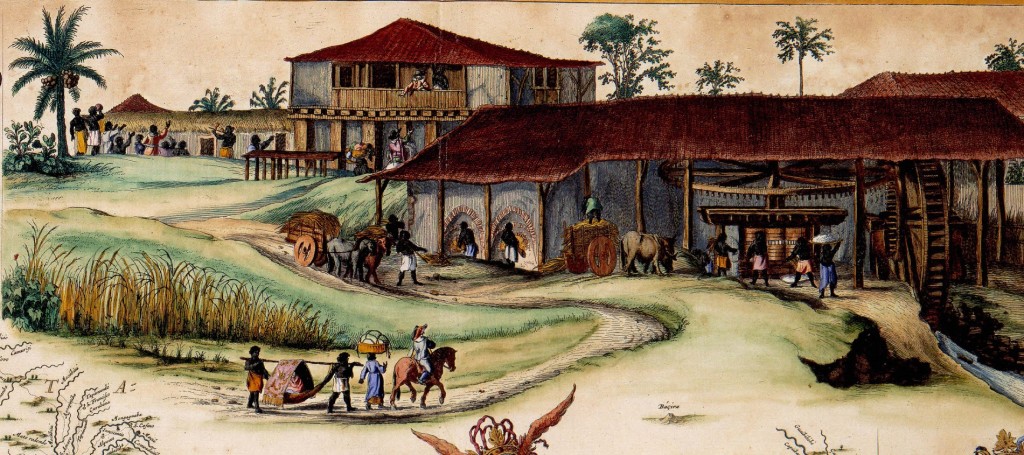 Course Image TE32POY - Portugais : Civilisation 3