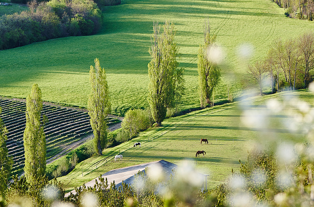 Course Image TE4EBIY - ENVI : Environnement et changements globaux