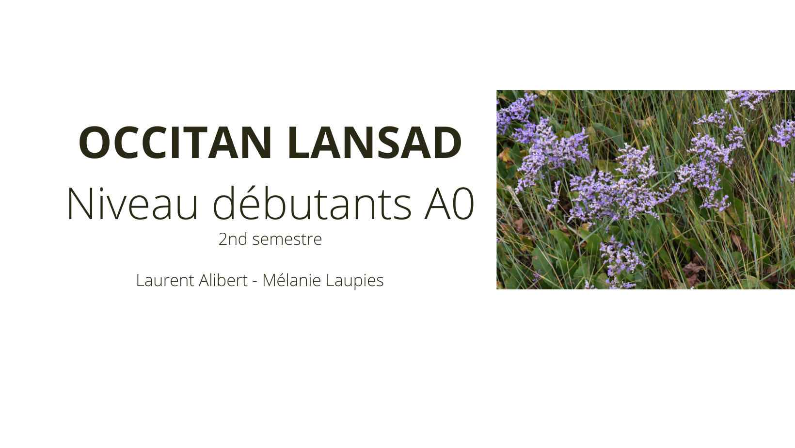 Course Image OCCITAN : Parcours Débutant (niveau entrée A0) - Semestre 2