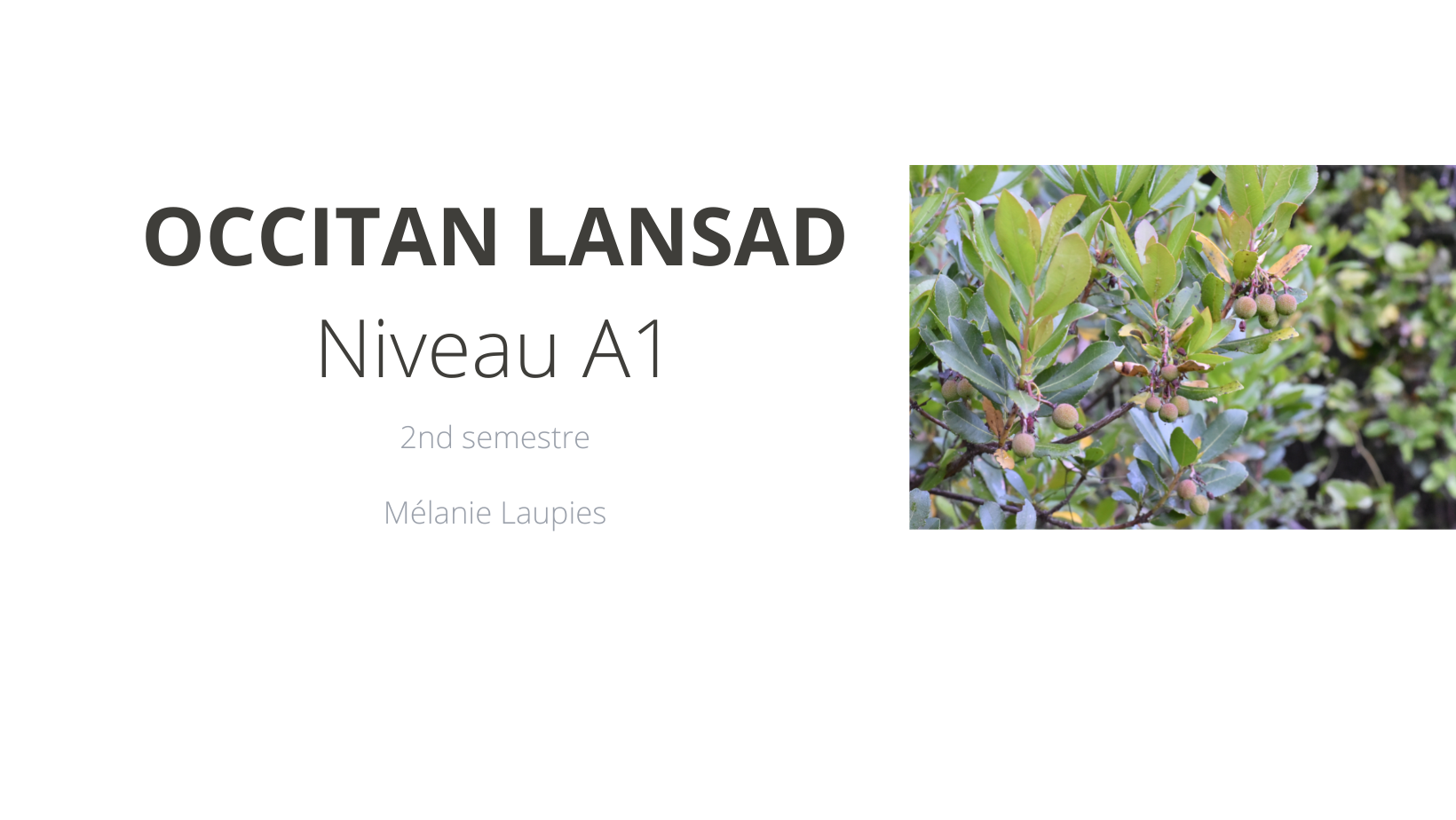 Course Image  OCCITAN : Parcours Débutant/Confirmé (niveau entrée A1) - Semestre 2