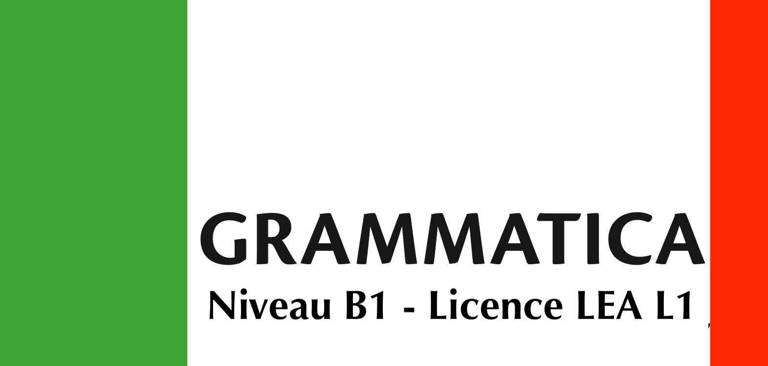 Course Image Langue - Grammaire - TE11ITY